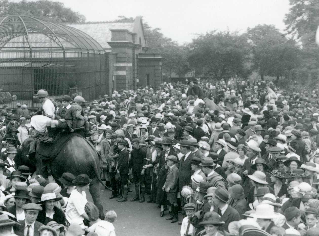 Tłumy odwiedzających oglądają przejażdżkę słoniem w londyńskim zoo, sierpniowe święto bankowe, 1922 r autorstwa Frederick William Bond