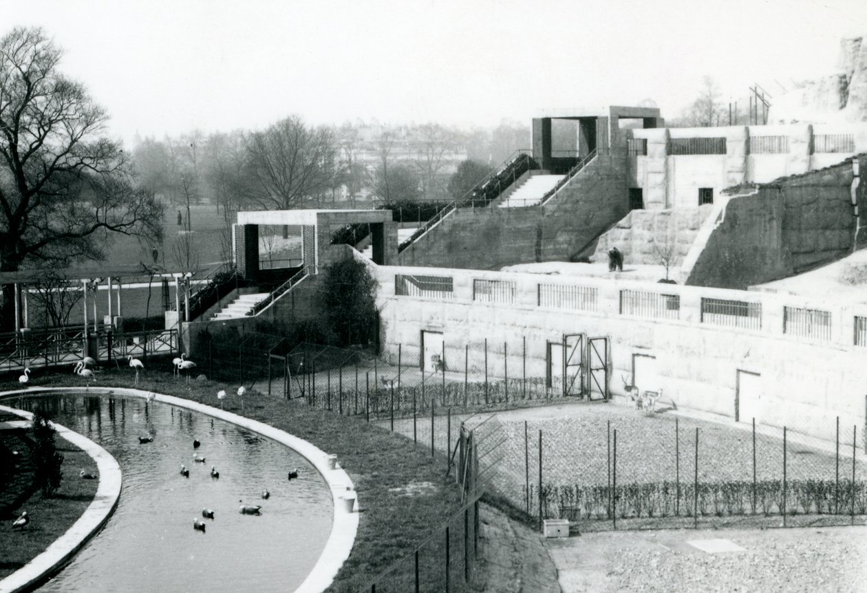 Obudowy przed tarasami Mappin, londyńskie zoo, 1922 autorstwa Frederick William Bond