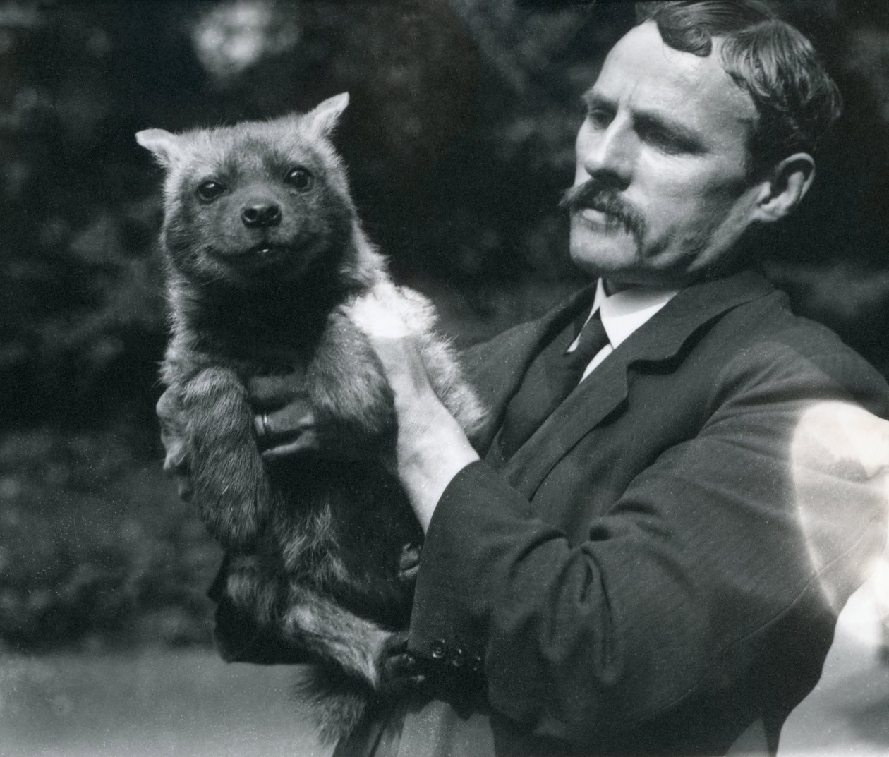 Opiekun Charles Dixon trzymający małą hienę w londyńskim zoo, 1919 autorstwa Frederick William Bond