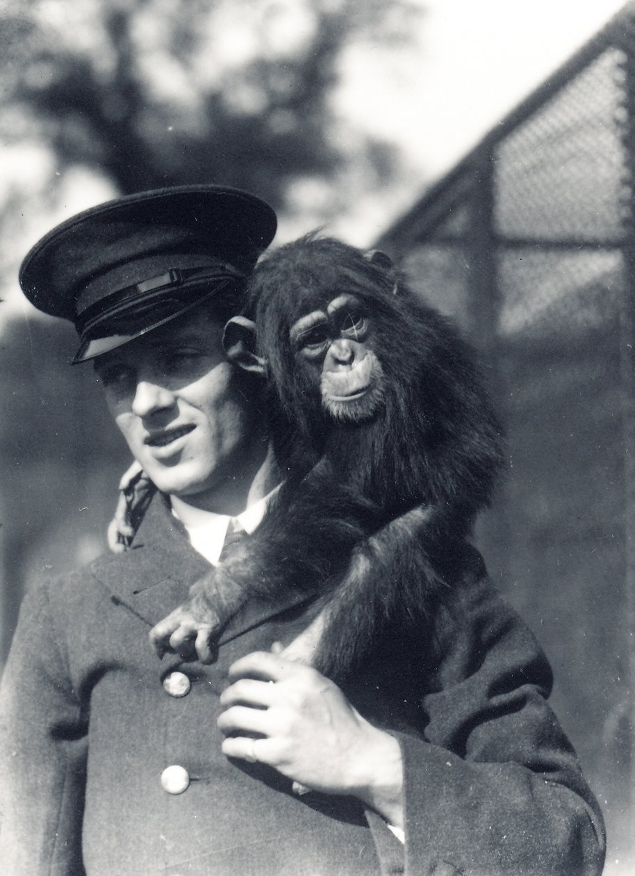 Opiekun F. Shelly z szympansem Johnnie lub Marco w ZSL London Zoo autorstwa Frederick William Bond