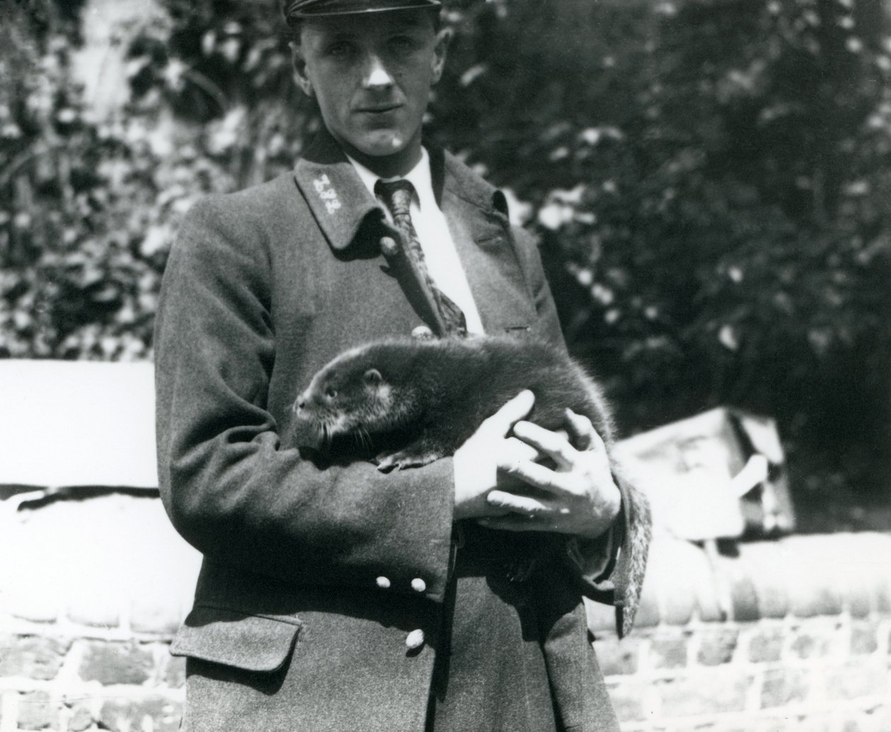 Opiekun Leslie Martin Flewin kołysze w ramionach szczenię wydry w londyńskim zoo, czerwiec 1922 r autorstwa Frederick William Bond