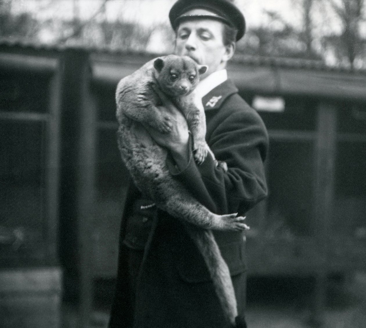Opiekun, Leslie Martin Flewin, trzymający Kinkajou w londyńskim zoo, luty 1913 autorstwa Frederick William Bond