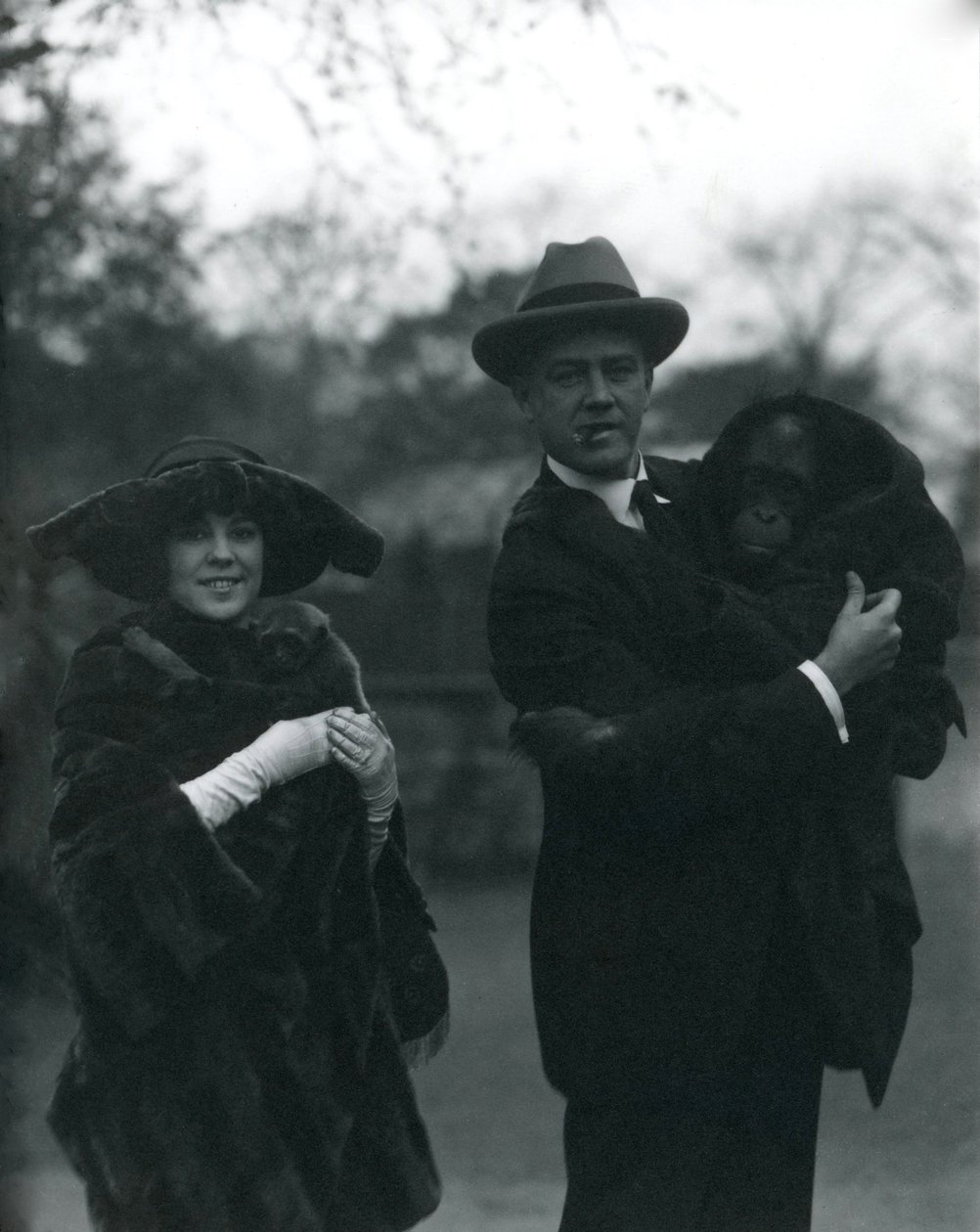 Osa i Martin Johnson z orangutanem i gibonem, londyńskie zoo, październik 1920 r. autorstwa Frederick William Bond
