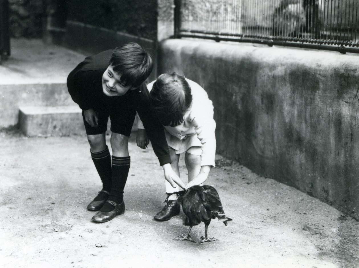 Dwóch młodych zwiedzających spotyka oswojoną karakarę prążkowaną w londyńskim zoo, czerwiec 1914 r. autorstwa Frederick William Bond