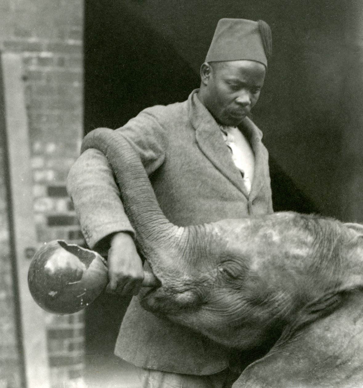 Darisha podaje młodemu słoniowi afrykańskiemu Kiberenge drinka, podczas gdy Syed Ali patrzy w tle, londyńskie zoo, wrzesień 1923 r. (mc. zdjęcie) autorstwa Frederick William Bond