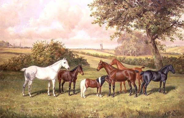 Grupa kucyków autorstwa Frederick Albert Clark