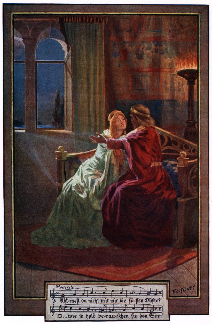 Rycerz próbuje rozwiać wątpliwości Elsy, ilustracja z „Wagner