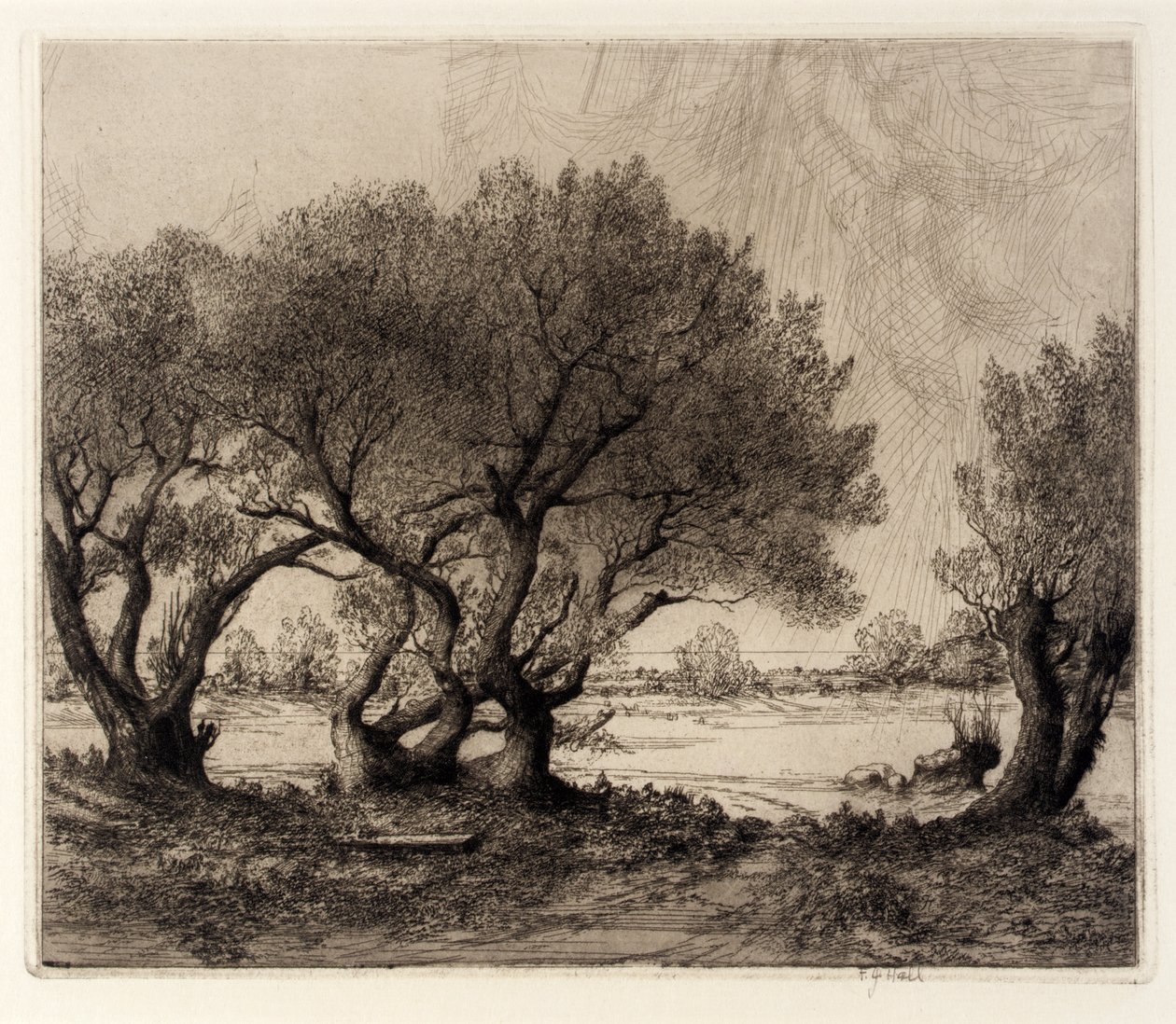 Stare wierzby autorstwa Frederick G. Hall