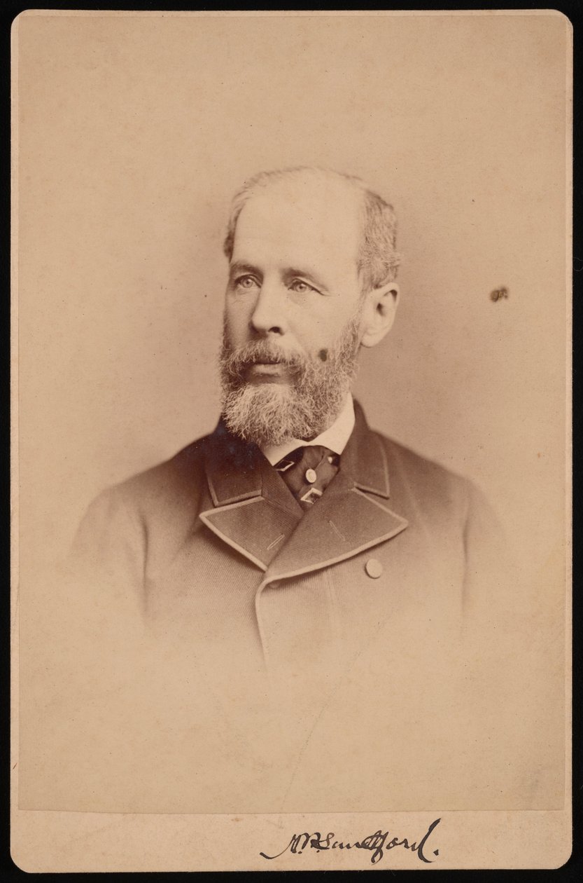 Portret niezidentyfikowanego mężczyzny, październik 1876. autorstwa Frederick Gutekunst