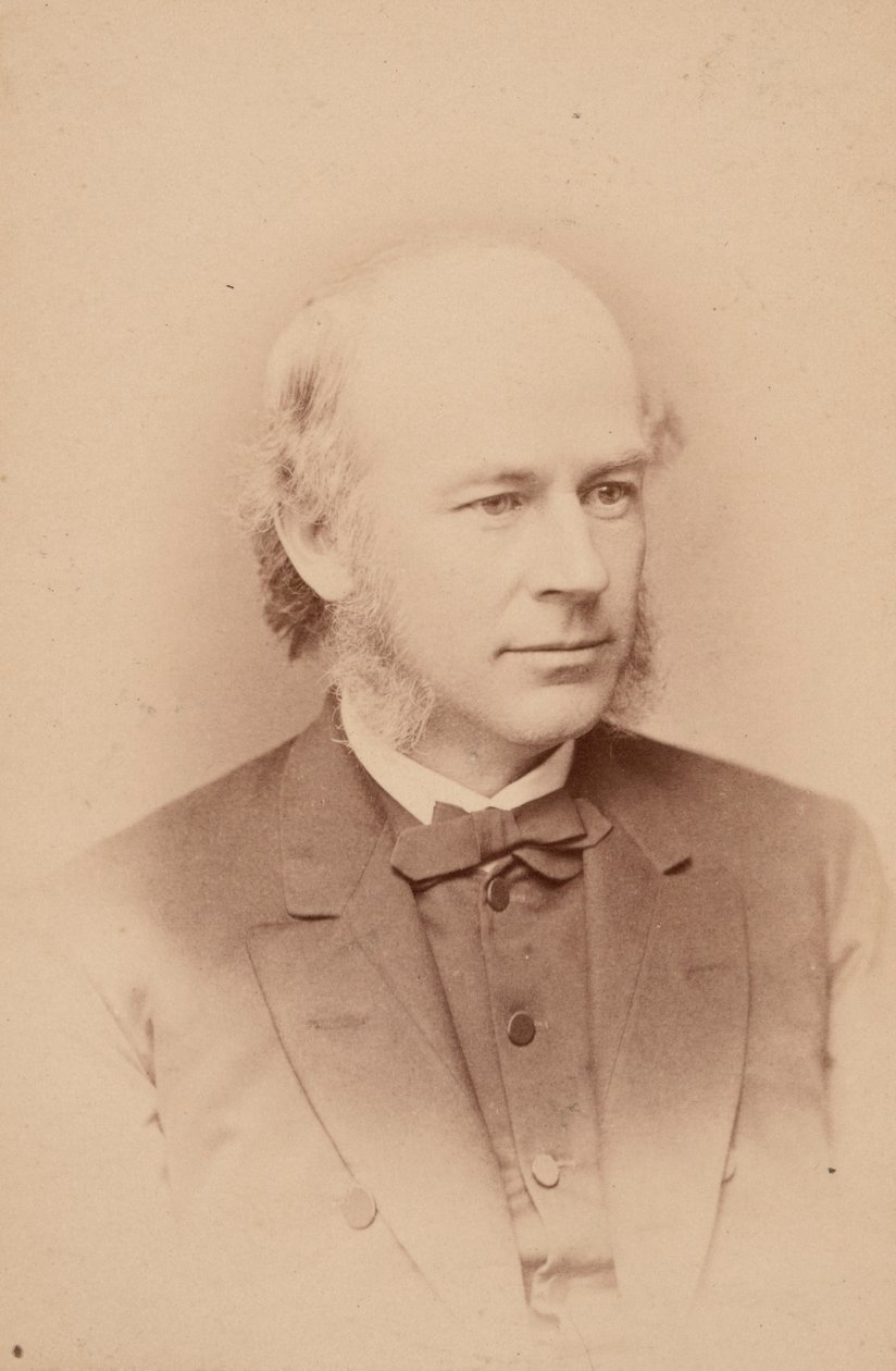 Portret Williama Cassady Cattella 1827-1898, 1876. autorstwa Frederick Gutekunst