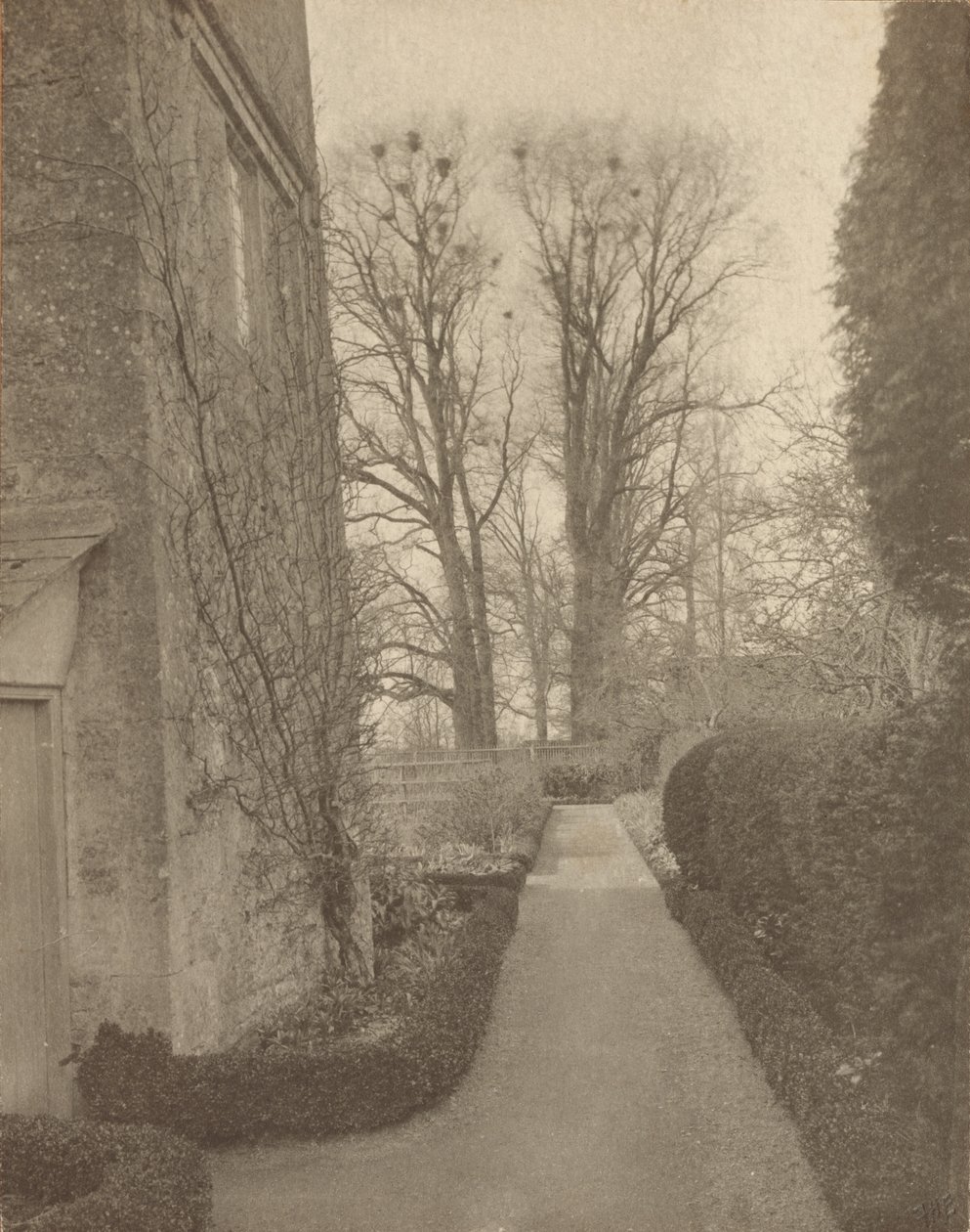 Kelmscott Manor: W ogrodzie autorstwa Frederick H. Evans