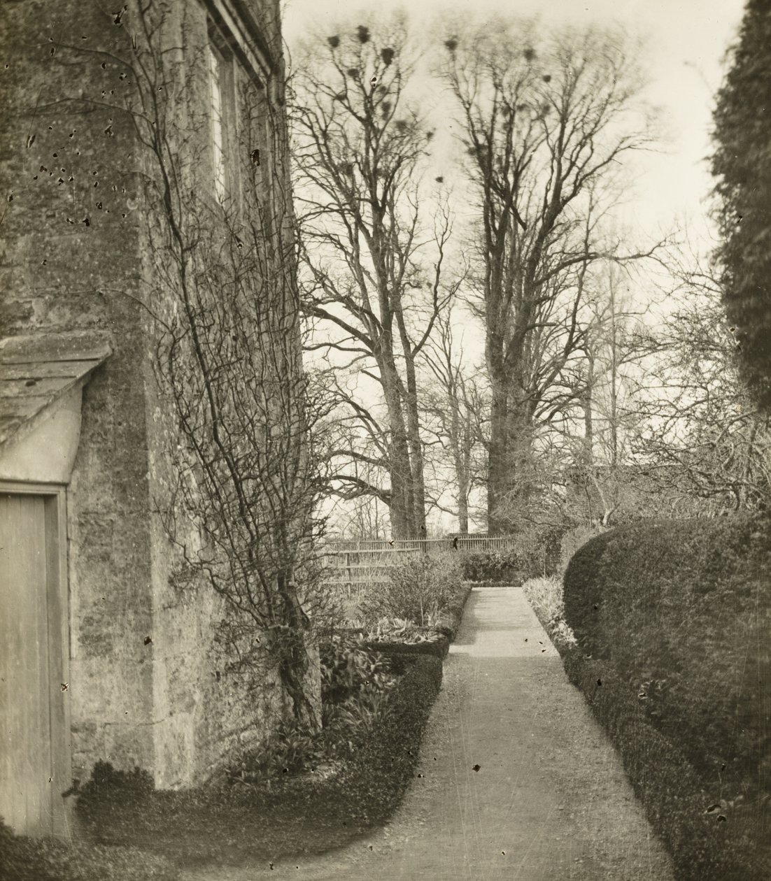 Kelmscott Manor: W ogrodzie autorstwa Frederick H. Evans