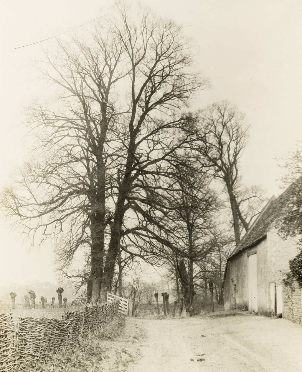 Kelmscott Manor: Droga i wejście autorstwa Frederick H. Evans