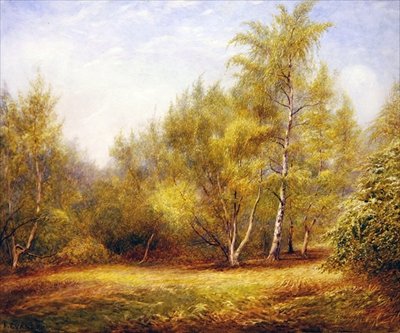 Epping Forest w pobliżu Buckhurst Hill (akwarela na papierze) autorstwa Frederick Henry Evans