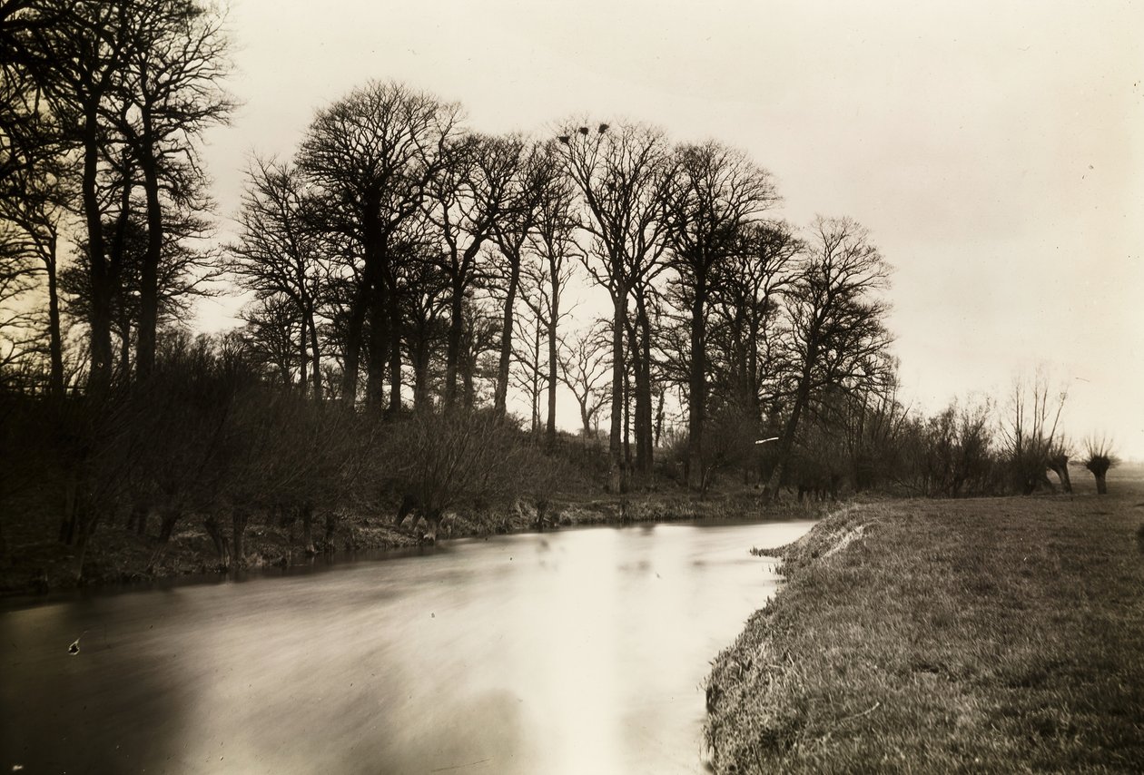 Kelmscott Manot: Tamiza w pobliżu dworu, 1896. autorstwa Frederick Henry Evans