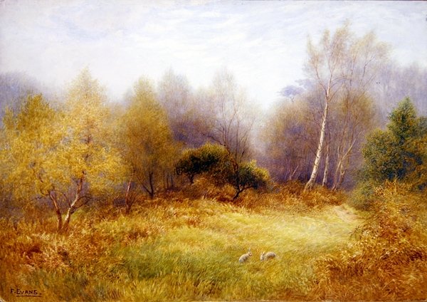Króliki na leśnej polanie (akwarela na papierze) autorstwa Frederick Henry Evans
