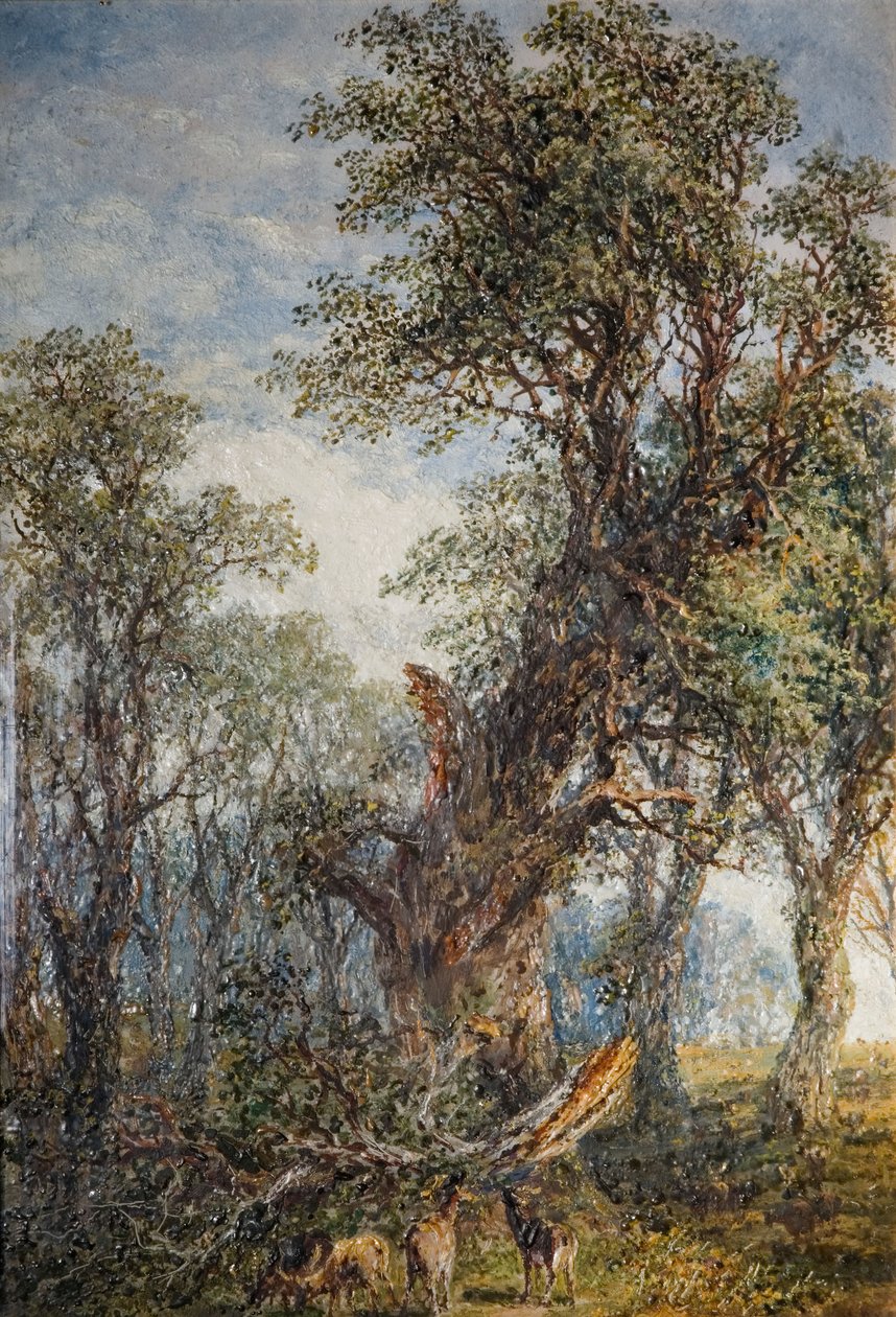 Złamana gałąź, 1881. autorstwa Frederick Henry Henshaw