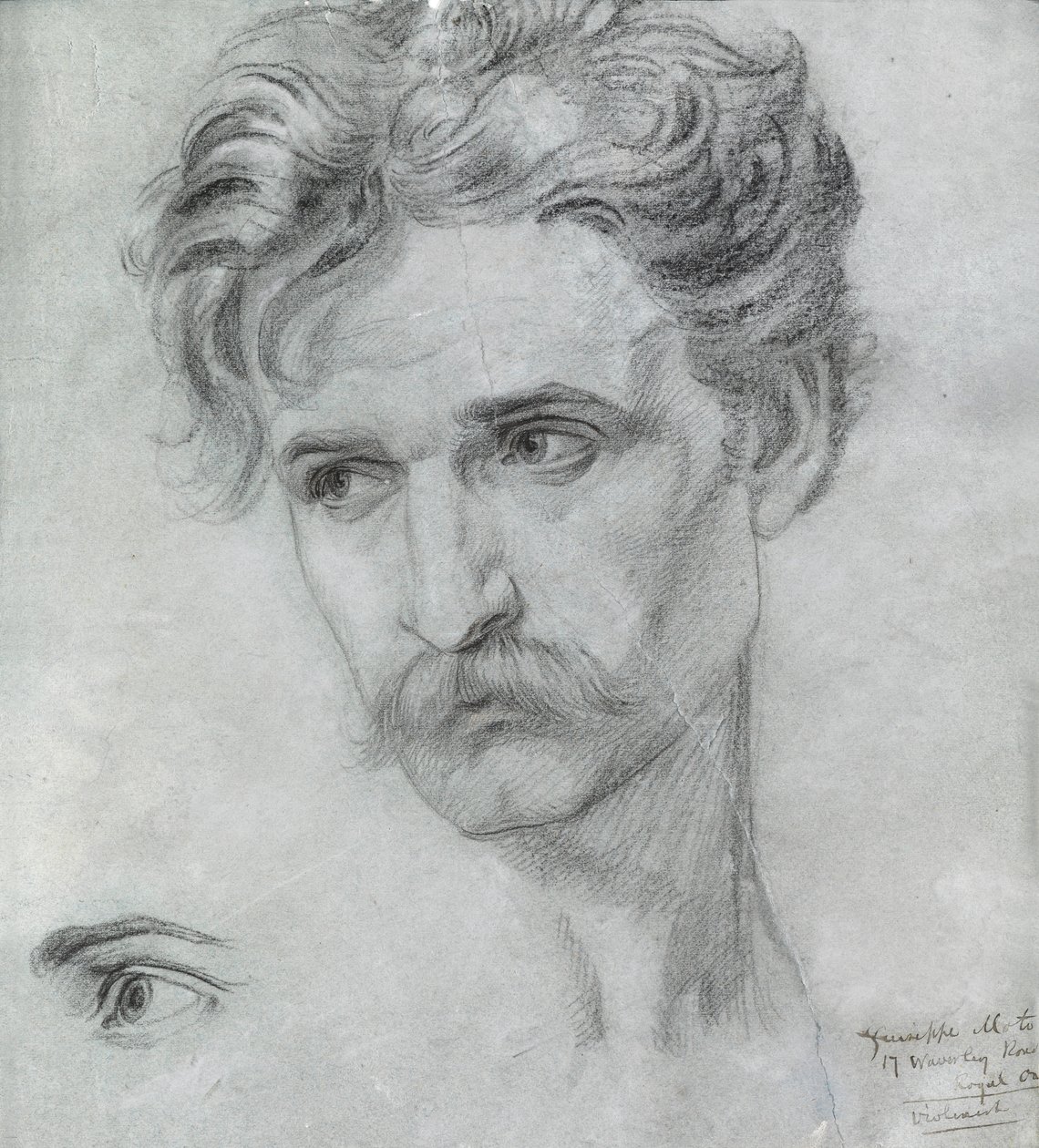 Studium Giuseppe Moto (kreda na papierze) autorstwa Frederick James Sheilds