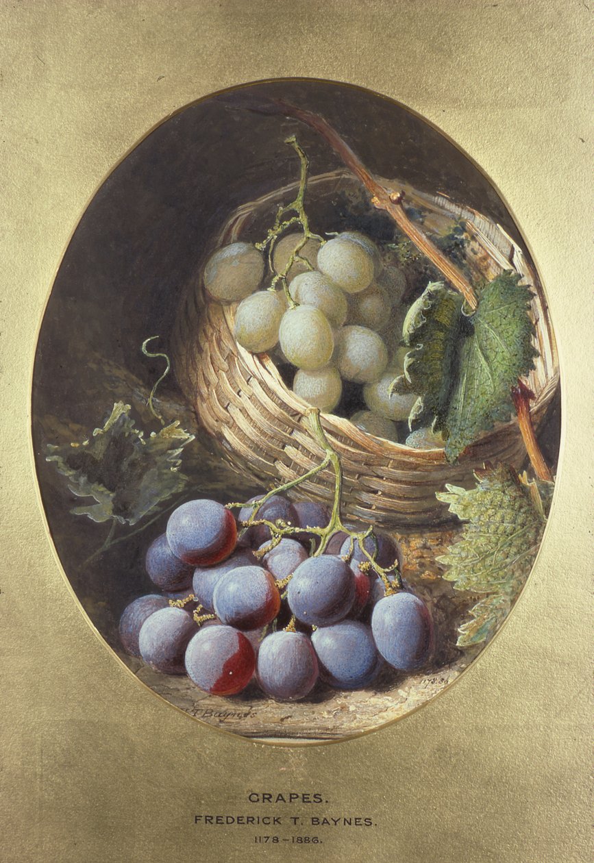 Czerwone i Białe Winogrona autorstwa Frederick Thomas Baynes