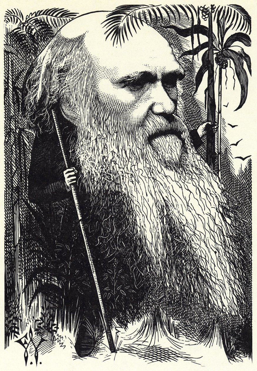 Charles DARWIN autorstwa Frederick Waddy