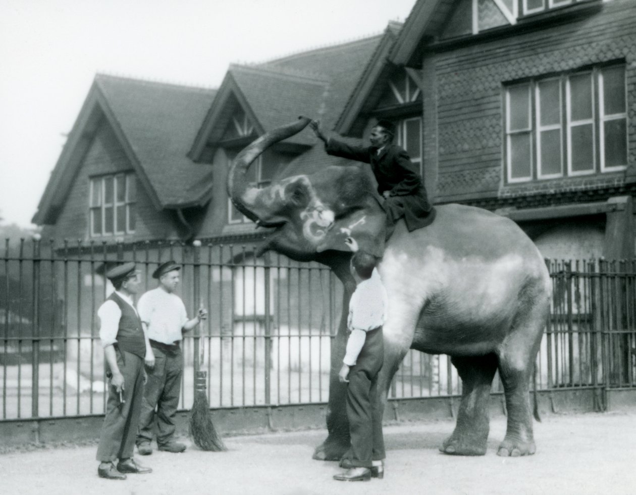 Udekorowany słoń indyjski, z trzema opiekunami i trenerem, przed Elephant House w londyńskim zoo w 1927 r. autorstwa Frederick William Bond