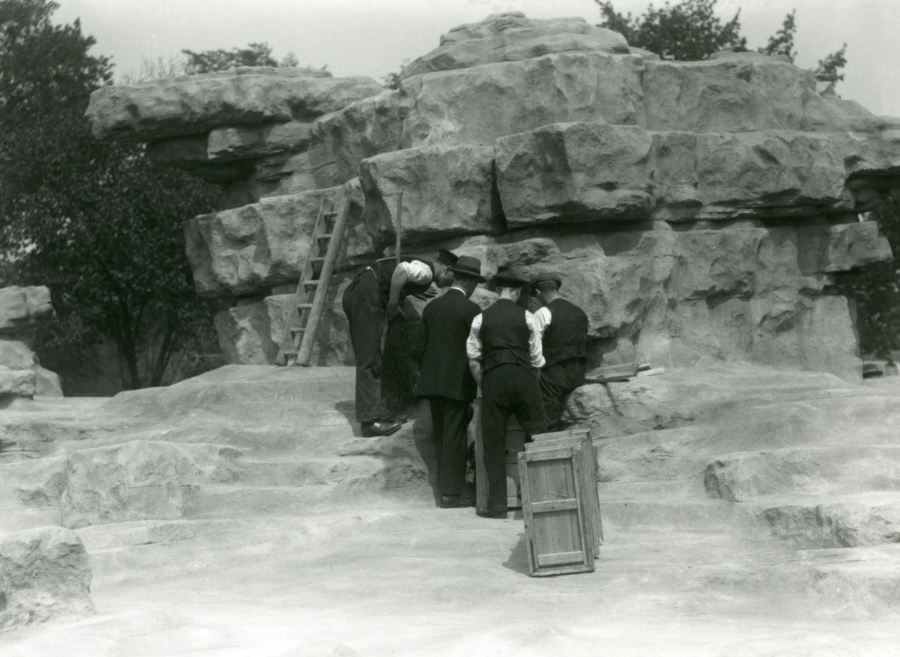 Grupa opiekunów rozpakowująca święte pawiany wśród skał „Monkey Hill”, londyńskie zoo autorstwa Frederick William Bond