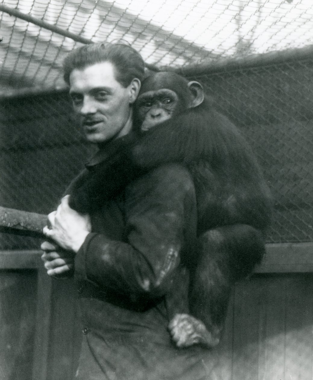 Mężczyzna niesie na plecach szympansa Sally, londyńskie zoo, 1924 autorstwa Frederick William Bond