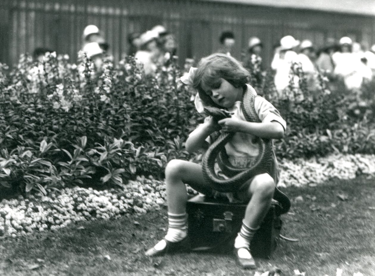 Młoda dziewczyna Betty trzymająca wschodniego węża indygo, siedząca na skórzanym bagażniku, londyńskie zoo, 1924 autorstwa Frederick William Bond