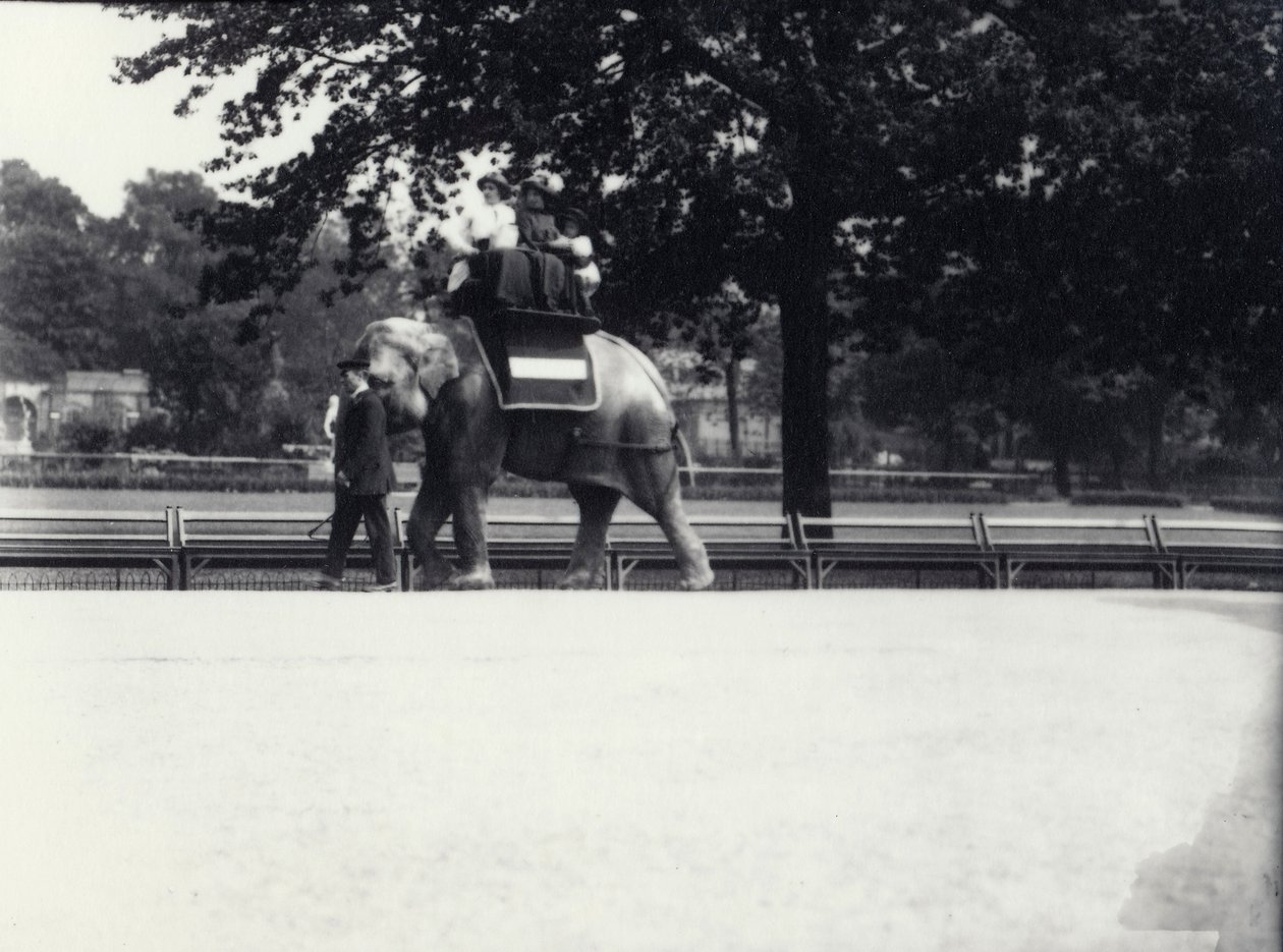 Słoń azjatycki „Jessie” podwozi dwie panie i dziecko, prowadzony przez dozorcę w londyńskim zoo, maj 1914 autorstwa Frederick William Bond