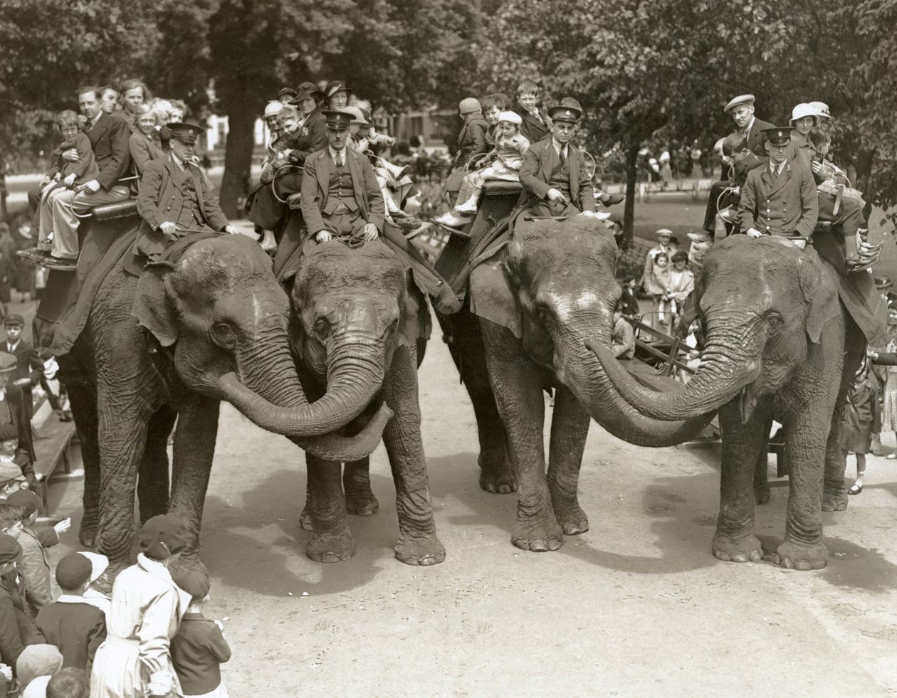 Przejażdżki na słoniach w londyńskim zoo, lipiec 1936 autorstwa Frederick William Bond