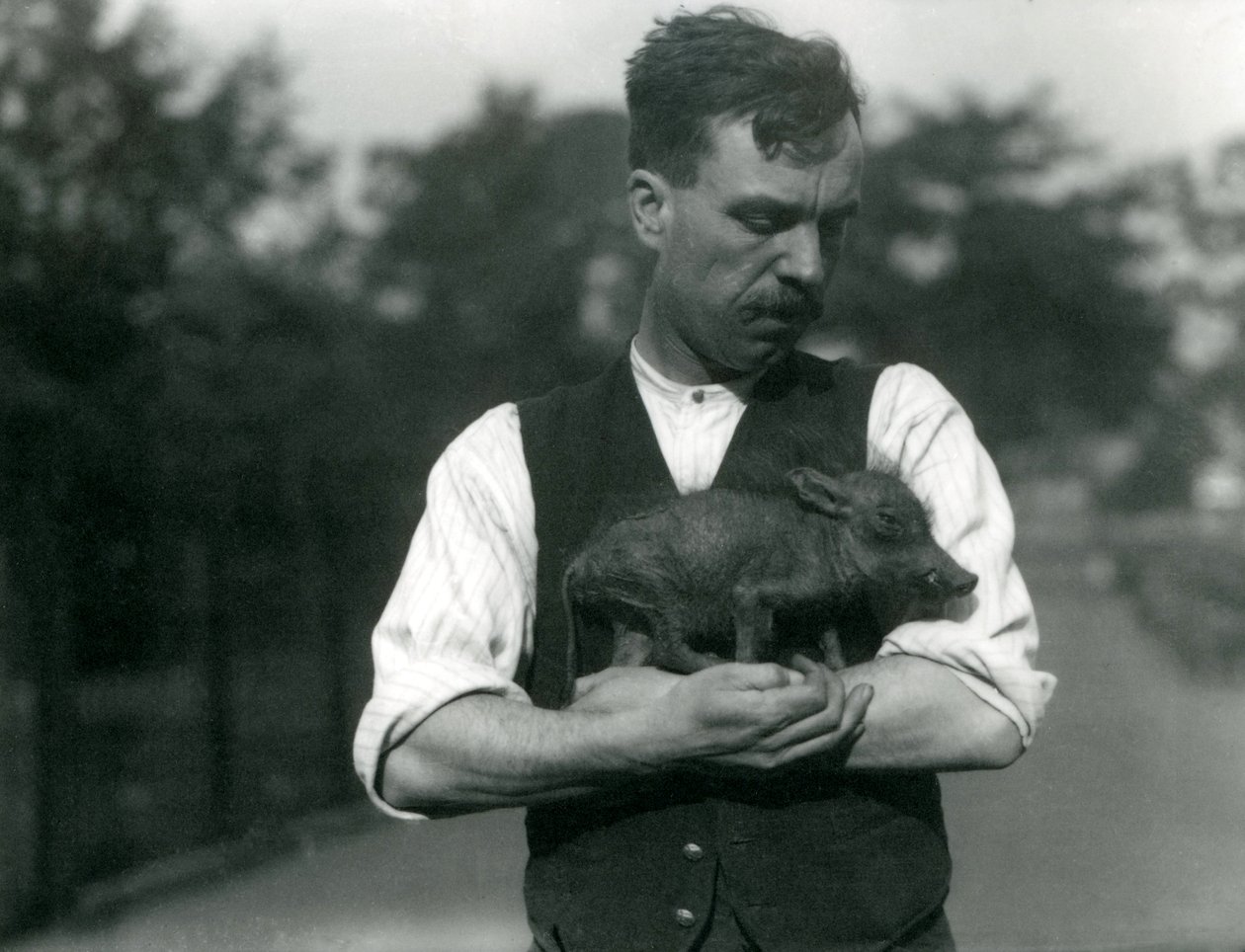 Strażnik Harry Warwick kołysze małego Guziec w ramionach w londyńskim zoo, sierpień 1922 r. autorstwa Frederick William Bond