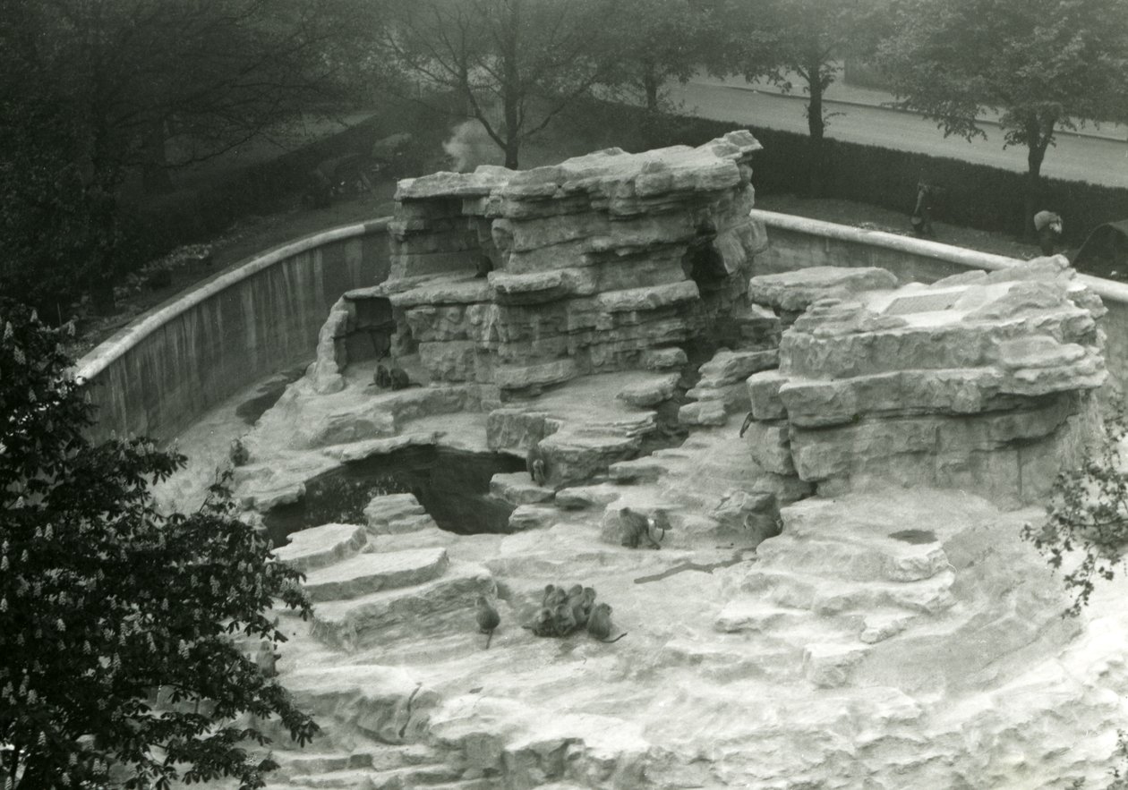 Monkey Hill” widziany ze szczytu tarasów Mappin, londyńskie zoo autorstwa Frederick William Bond