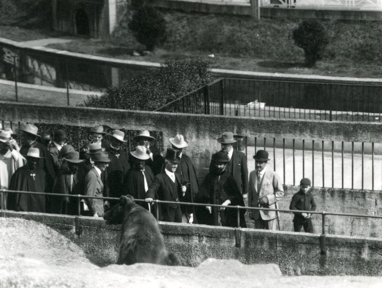 Sir Peter Chalmers Mitchell, z etiopskim regentem Haile Selassie i jego świtą, oglądają niedźwiedzia brunatnego na tarasach Mappin, londyńskie zoo, 1924 autorstwa Frederick William Bond