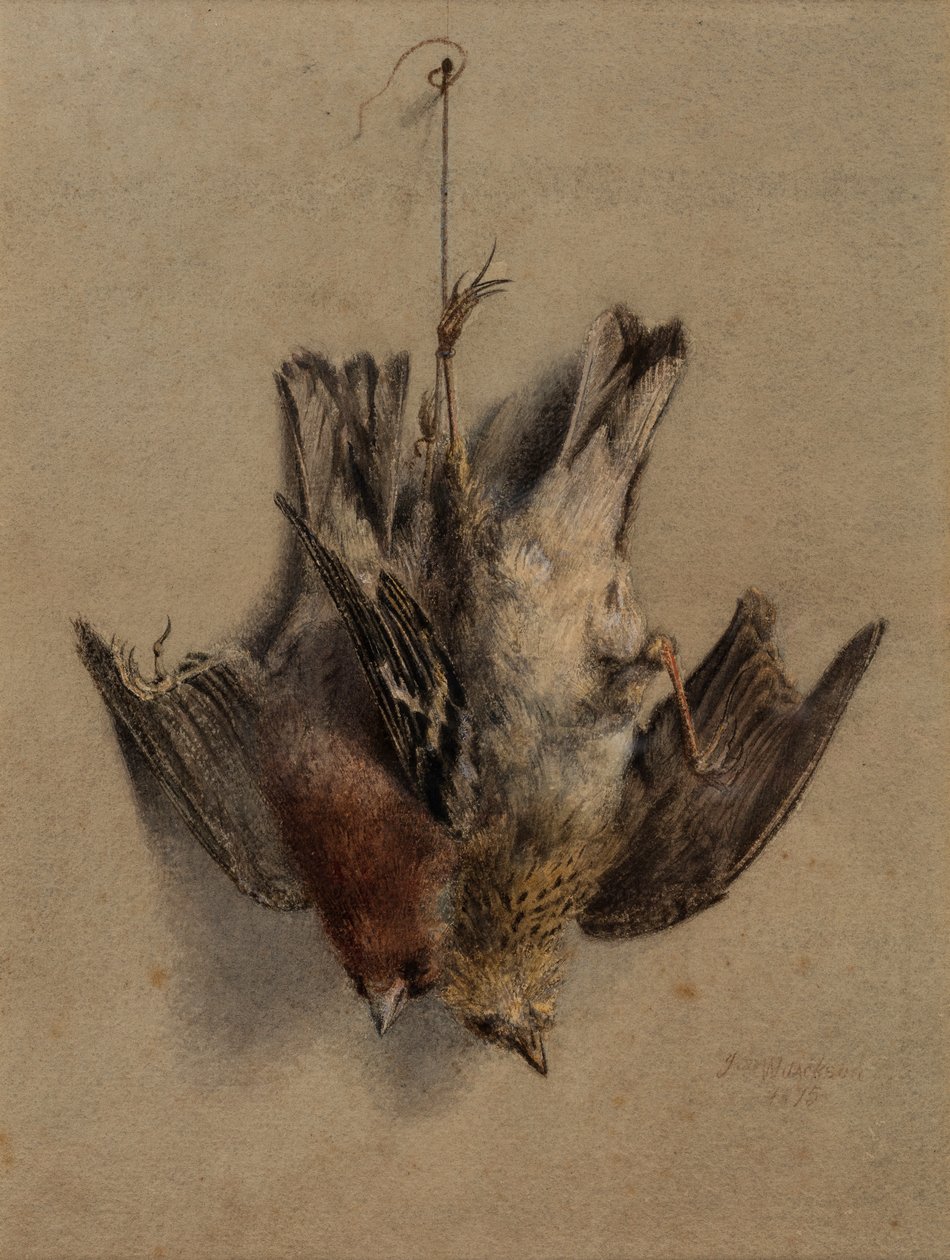 Martwa natura, skowronki autorstwa Frederick William Jackson