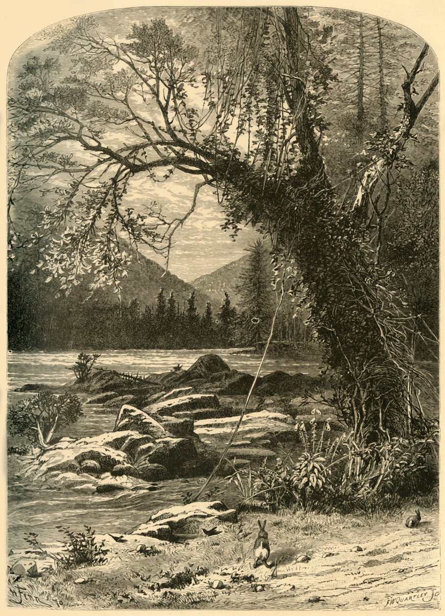 „Francuski Broad”, 1872. autorstwa Frederick William Quartley
