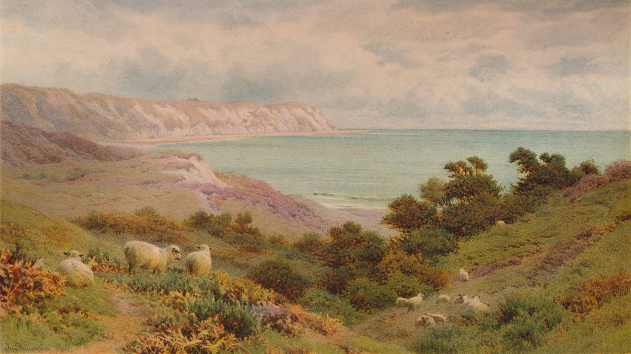 Warren, Folkestone”, c1876, 1938 autorstwa Frederick Williamson