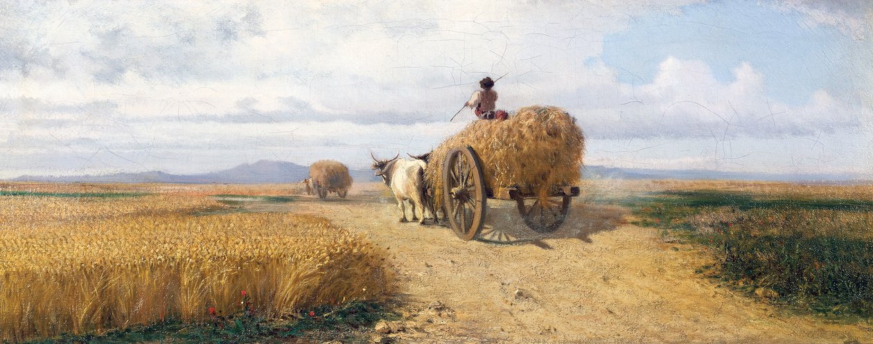 Pole pszenicy, ok. 1868, obraz Federico Rossano (1835-1912), olej na płótnie, 30x73 cm autorstwa Frederico Rossano