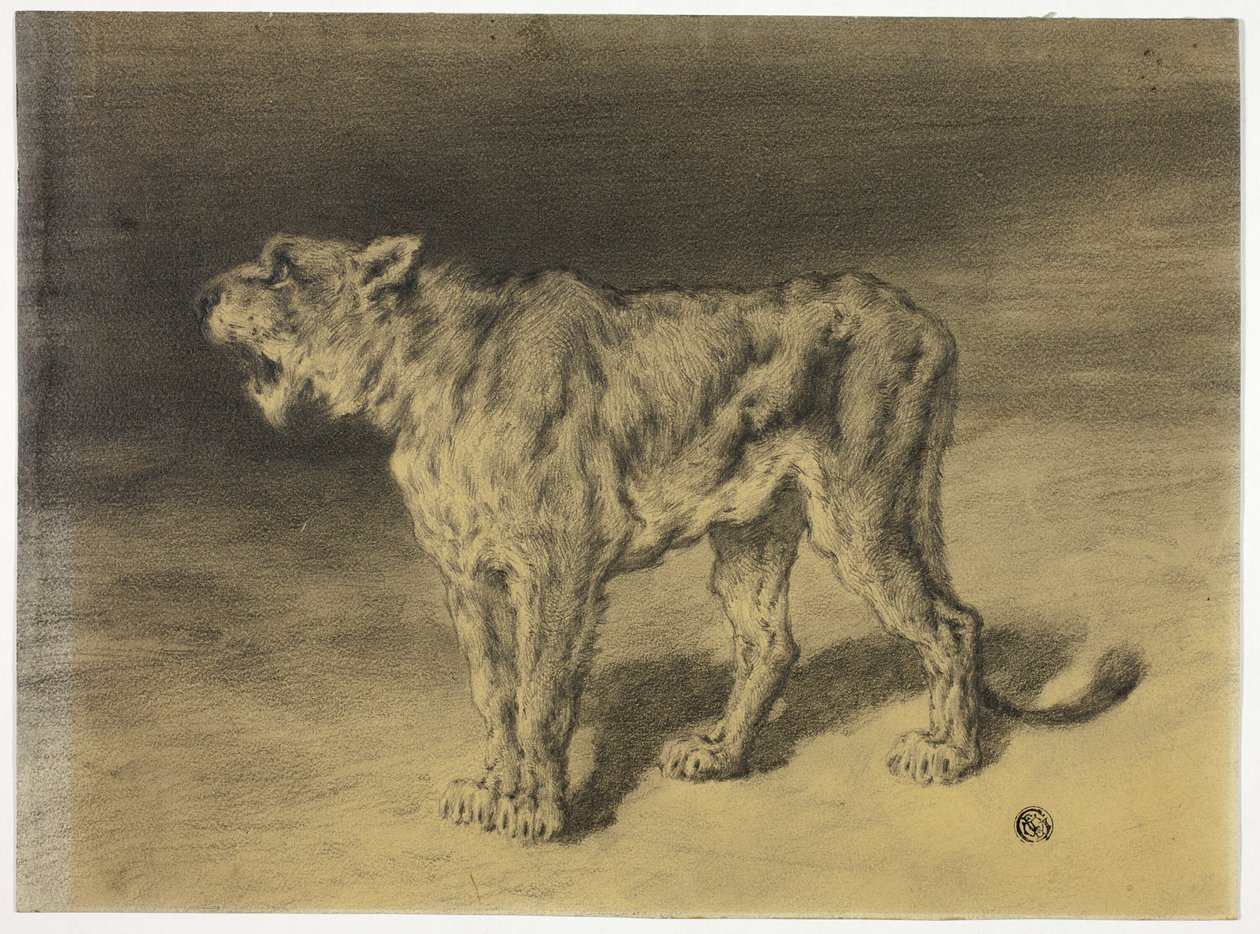 Ryk lwicy autorstwa Frederik William Zurcher