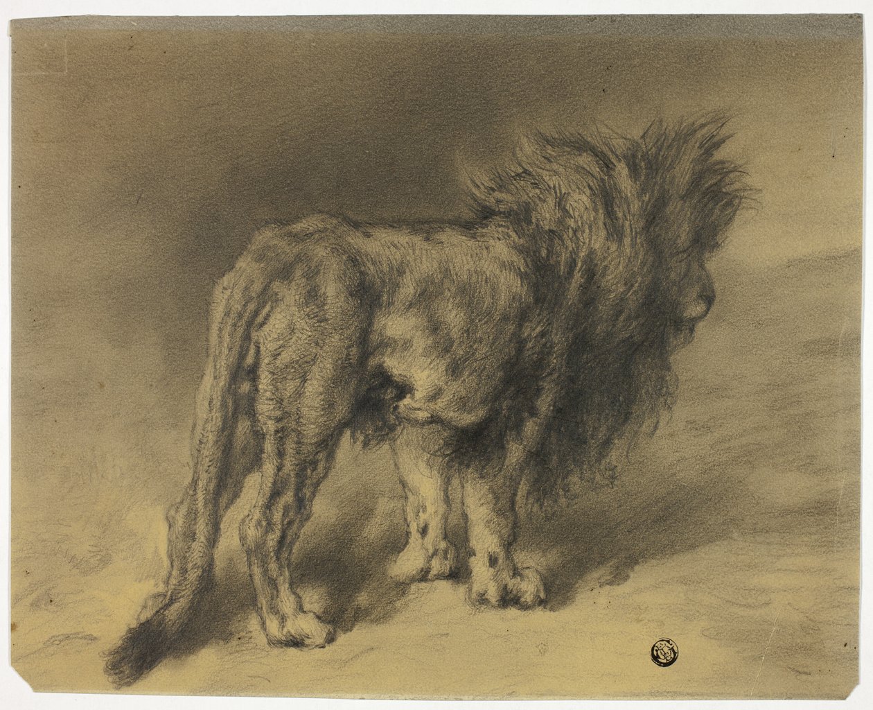 Stojący lew z kudłatą grzywą autorstwa Frederik William Zurcher
