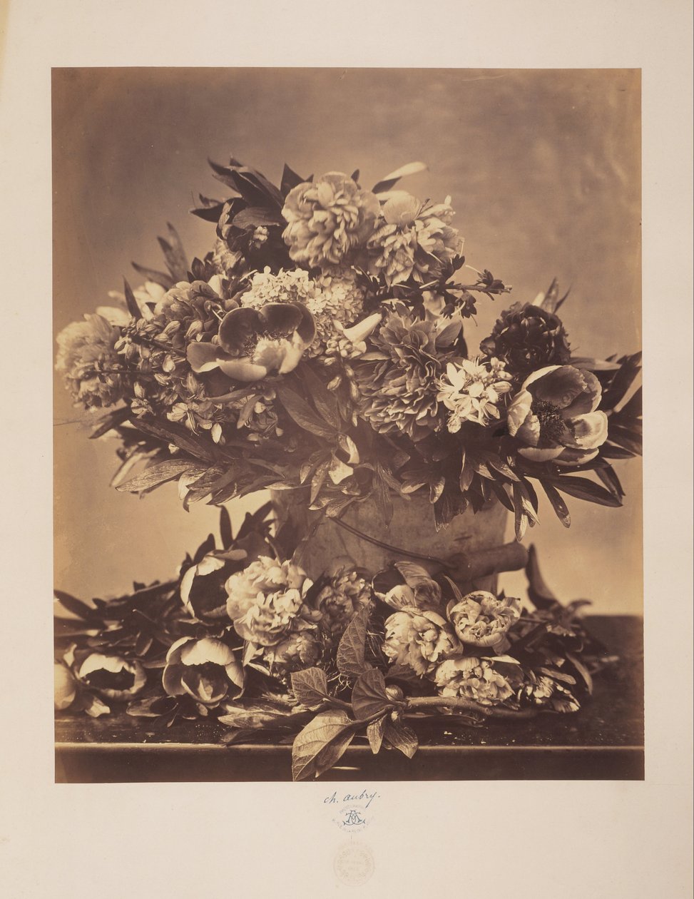 Martwa natura z piwoniami autorstwa Charles Aubry
