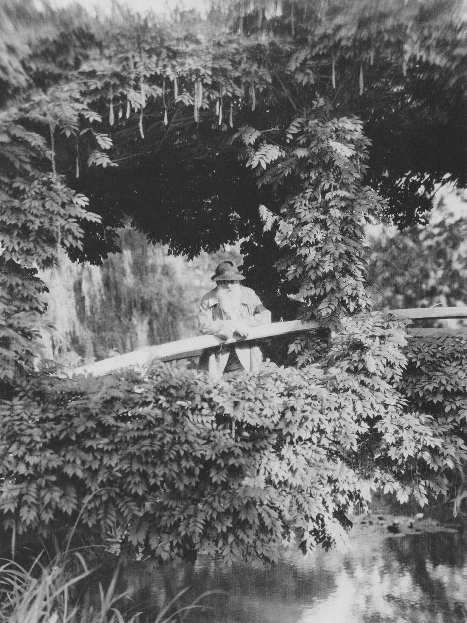 Claude Monet (1841-1926) na Moście Japońskim w swoim ogrodzie w Giverny autorstwa French Photographer