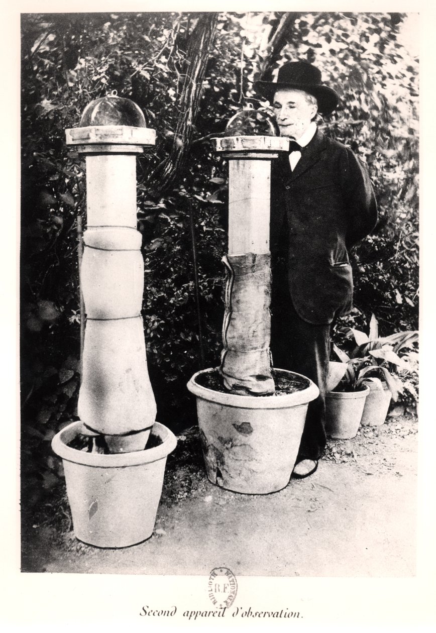 Jean-Henri Fabre (1823-1915) z Souvenirs Entomologiques, opublikowany w 1924 autorstwa French Photographer