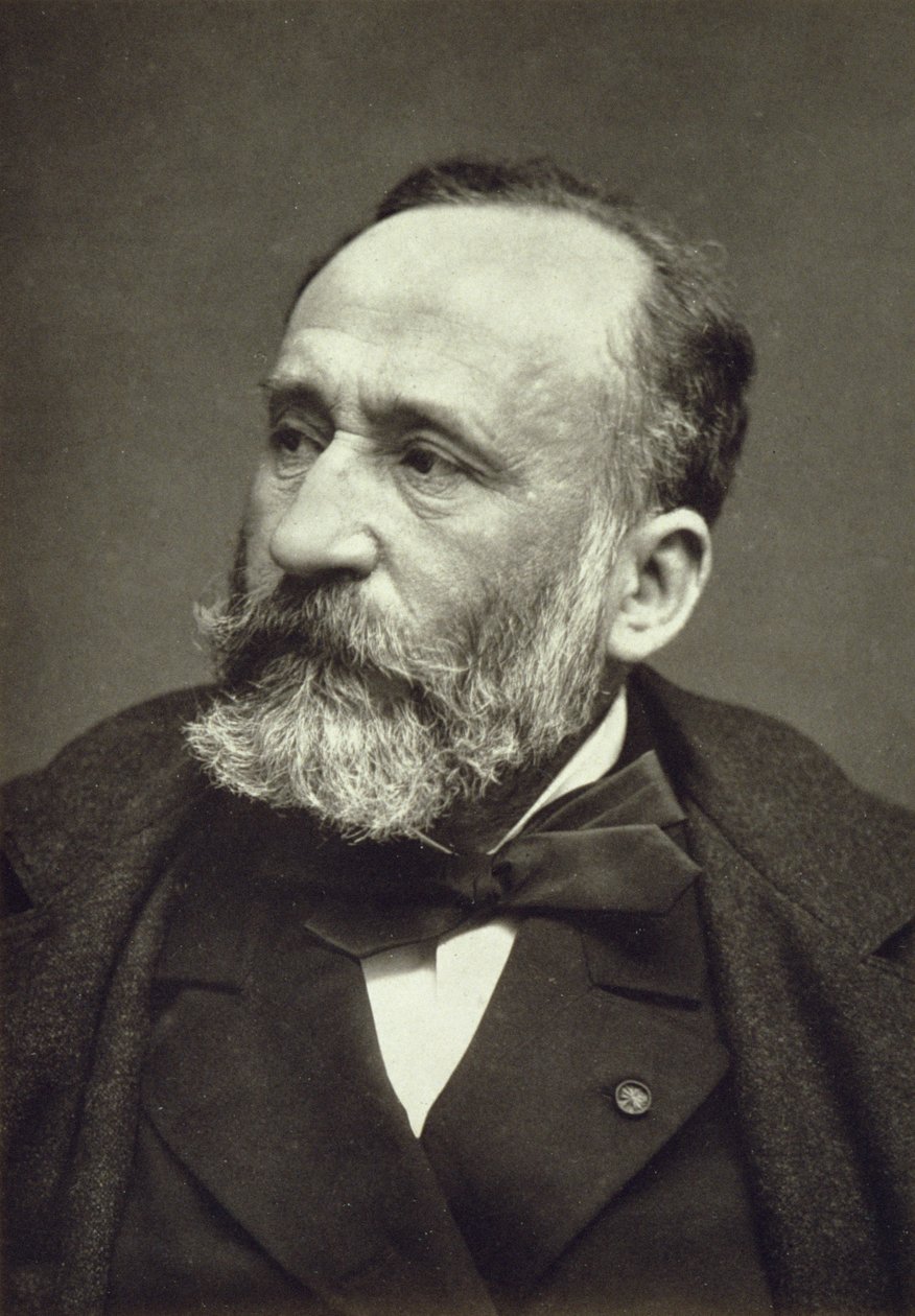 Pierre Cecile Puvis de Chavannes (1824-98), z Galerie Contemporaine, c.1874-78 autorstwa French Photographer