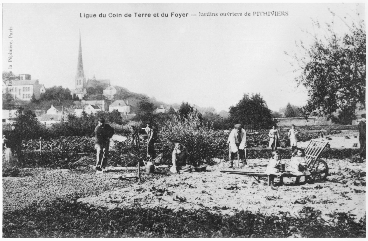 Pocztówka przedstawiająca ogródki przydomowe dla robotników w Pithiviers, przed 1914 r. autorstwa French Photographer