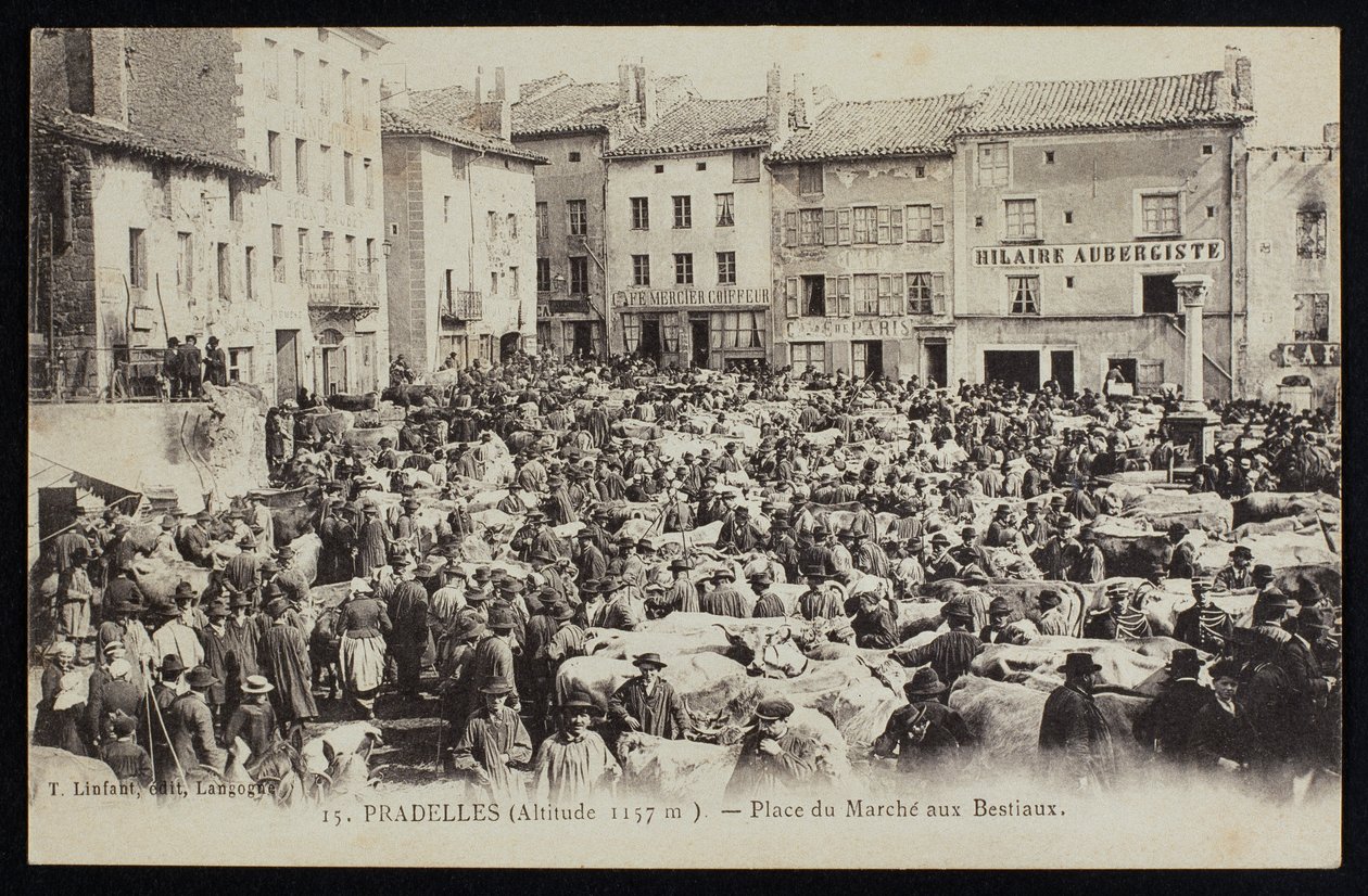 Pocztówka przedstawiająca targ bydła w Pradelles, ok. 1900 autorstwa French Photographer