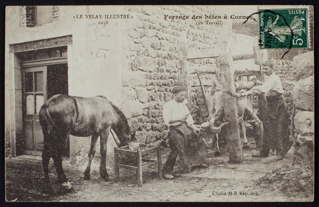 Pocztówka przedstawiająca podkuwanie konia w Cornes, Le Velay, ok. 1900 autorstwa French Photographer