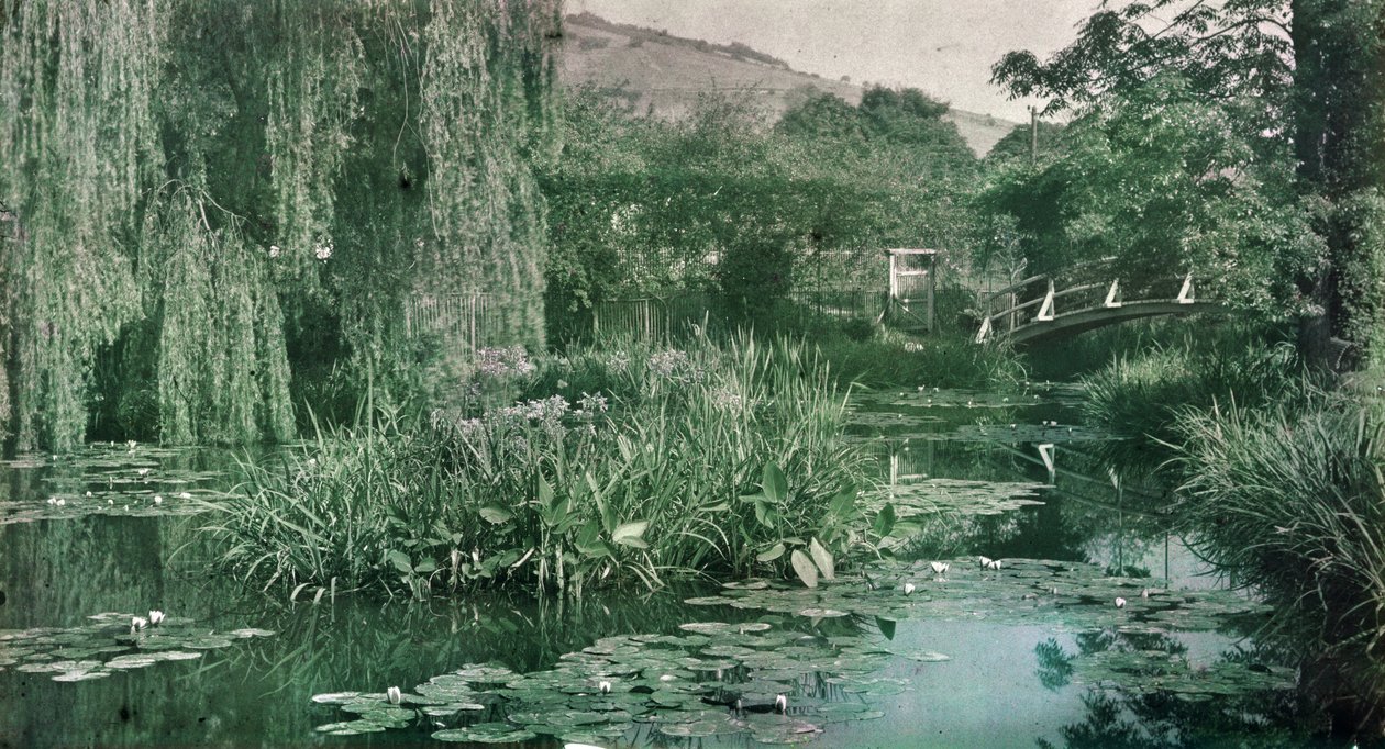 Staw lilii wodnych i most japoński w ogrodzie Moneta w Giverny, początek lat 20. (zdjęcie) autorstwa French Photographer