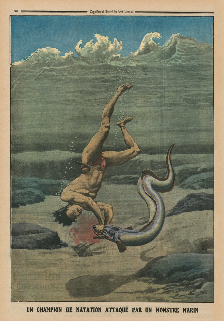 Mistrz pływania zaatakowany przez morskiego potwora, ilustracja na tylnej okładce z "Le Petit Journal", supplement illustre, 16 lutego 1913 r. autorstwa French School