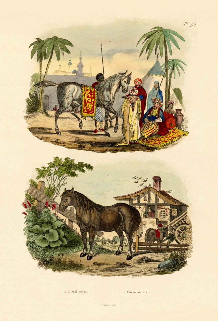 Koń Arabski, 1833-39 autorstwa French School