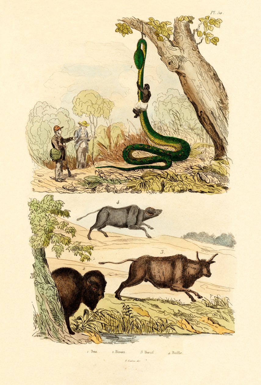 Dobry, 1833-39 autorstwa French School